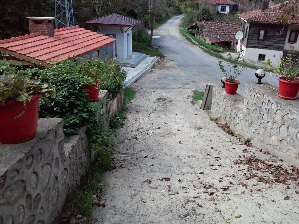 Ekoland Hotel Ağva Eksteriør bilde