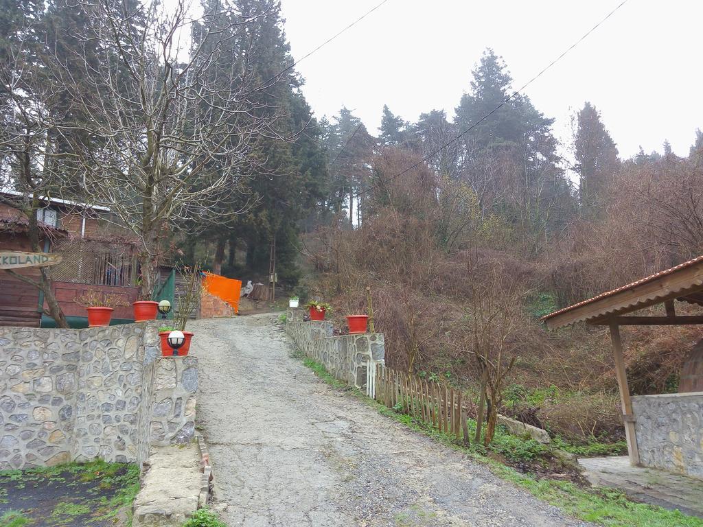 Ekoland Hotel Ağva Eksteriør bilde