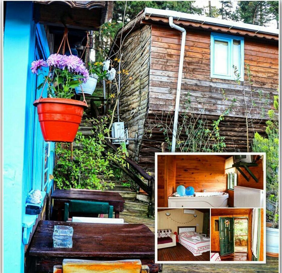 Ekoland Hotel Ağva Eksteriør bilde
