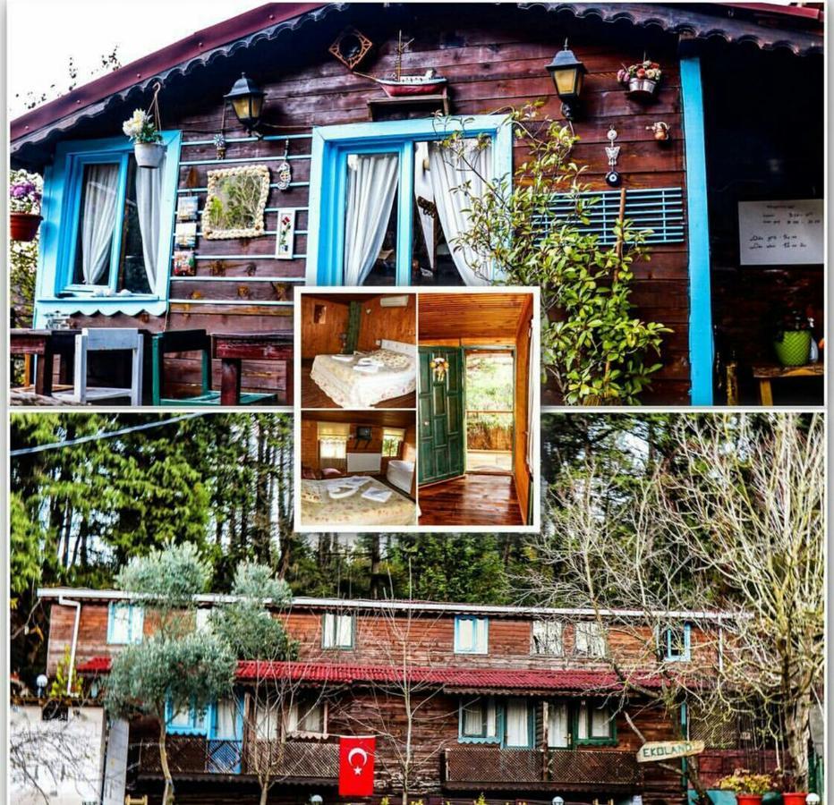Ekoland Hotel Ağva Eksteriør bilde