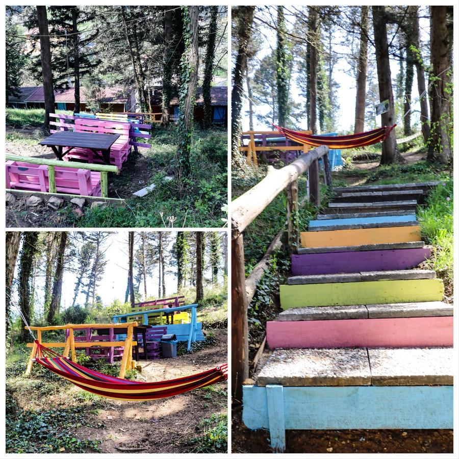 Ekoland Hotel Ağva Eksteriør bilde